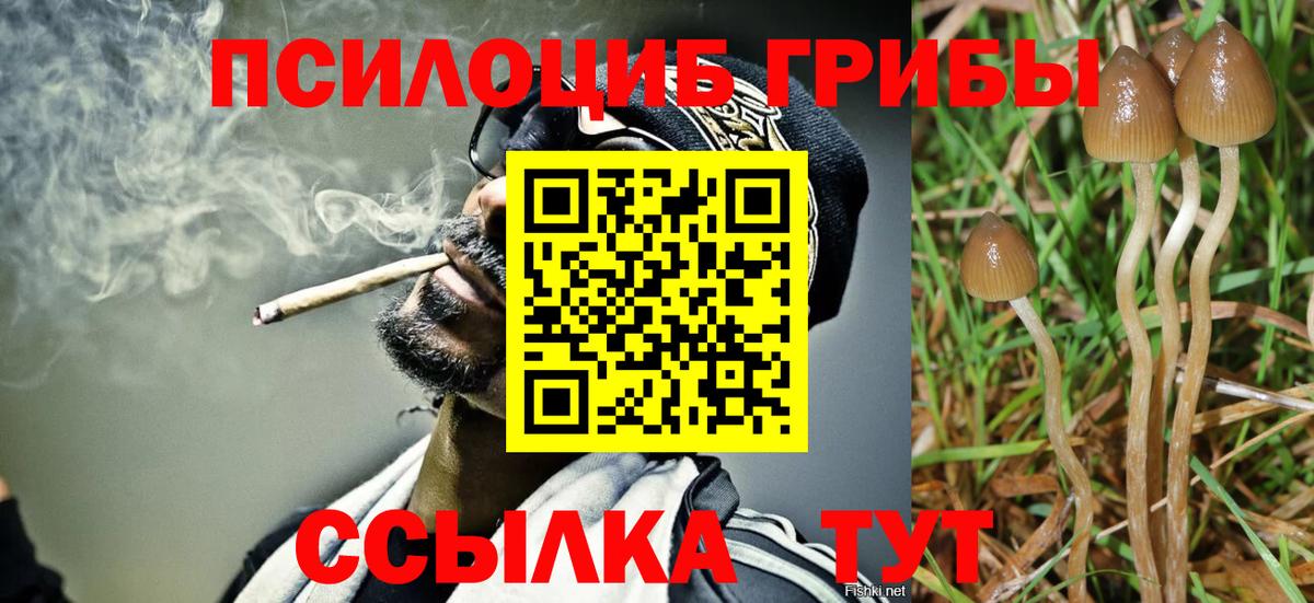 даркнет сайт  Вход с VPN  Нововоронеж  Галлюциногенные грибы ЛСД  Галлюциногенные грибы прущие грибы 
