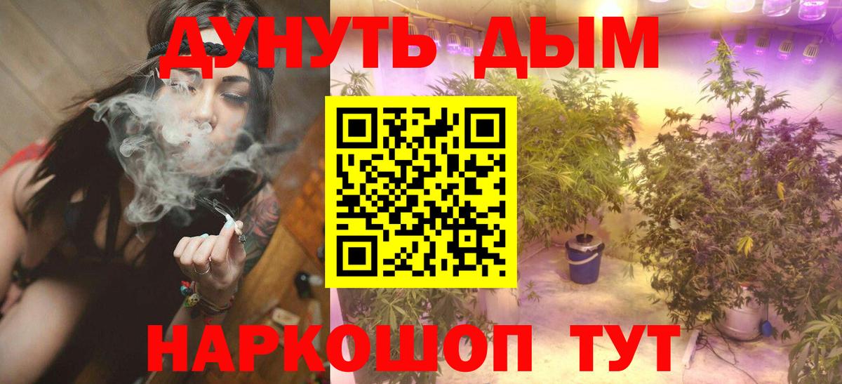 Бошки марихуана Bruce Banner  Вход с VPN  Бошки Шишки OG Kush  Нововоронеж 